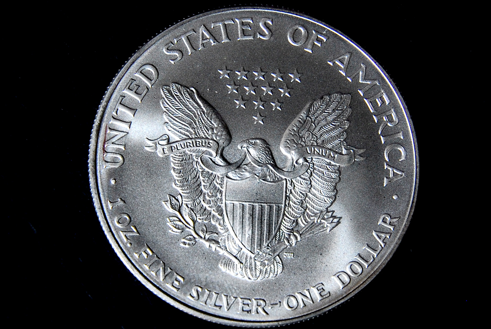 Set of Ten Silver American Eagle Dollar Coins