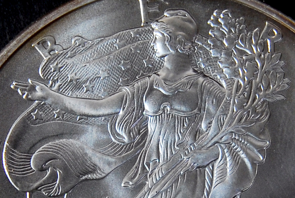 Set of Ten Silver American Eagle Dollar Coins