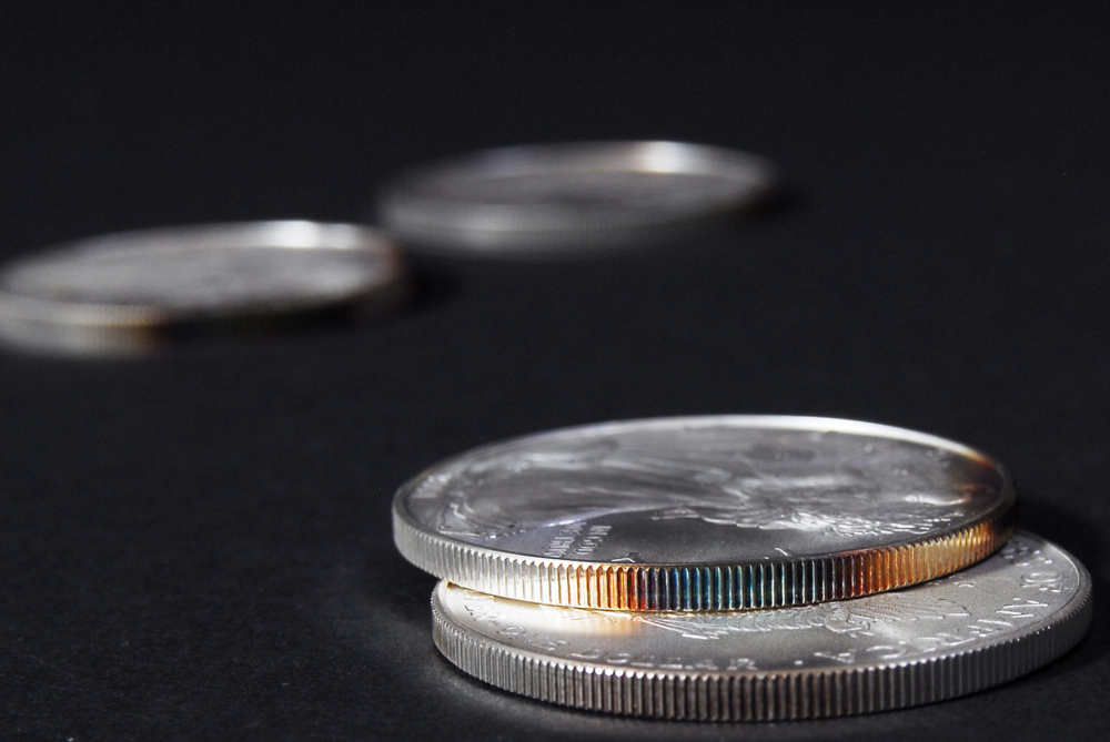 Set of Ten Silver American Eagle Dollar Coins