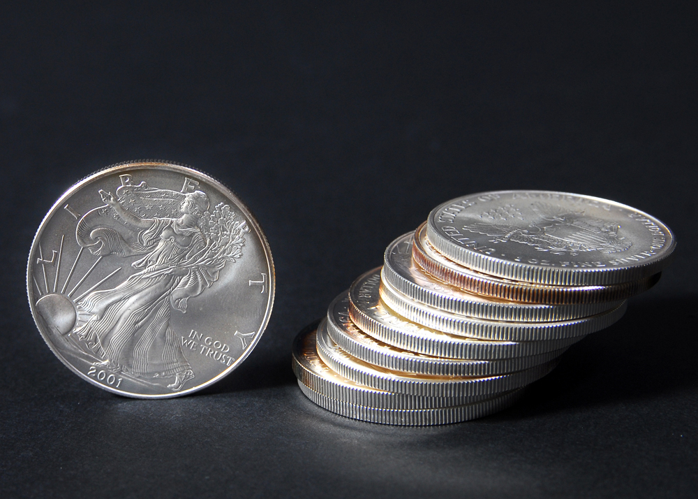 Set of Ten Silver American Eagle Dollar Coins