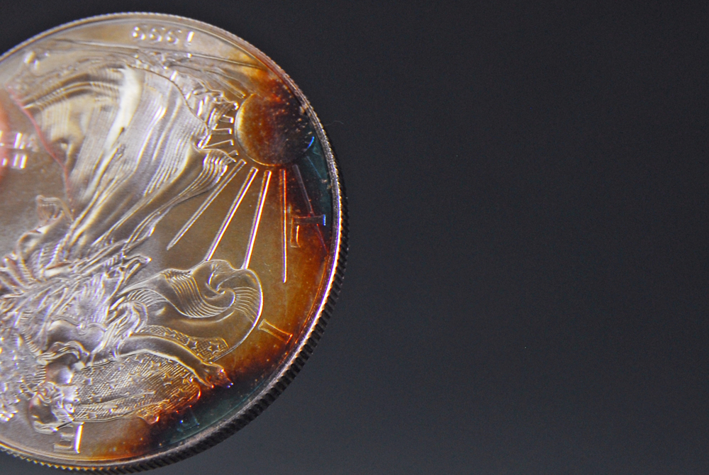 Set of Ten Silver American Eagle Dollar Coins