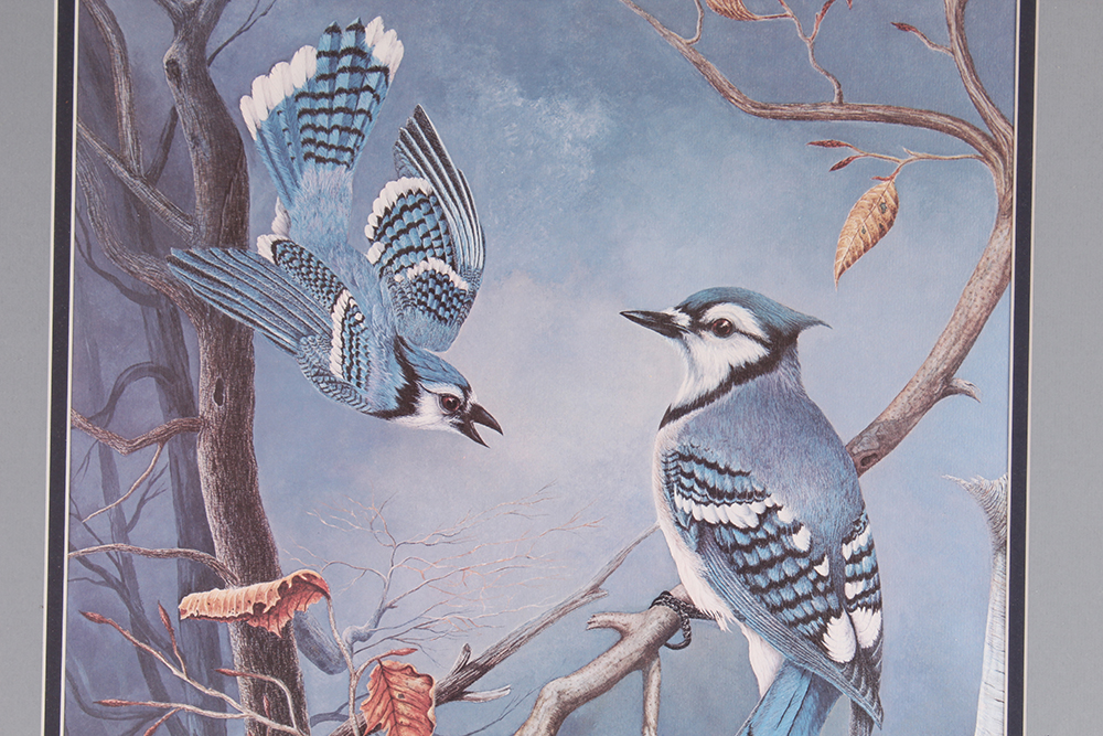 "Winter Jays" by Harry Duncan