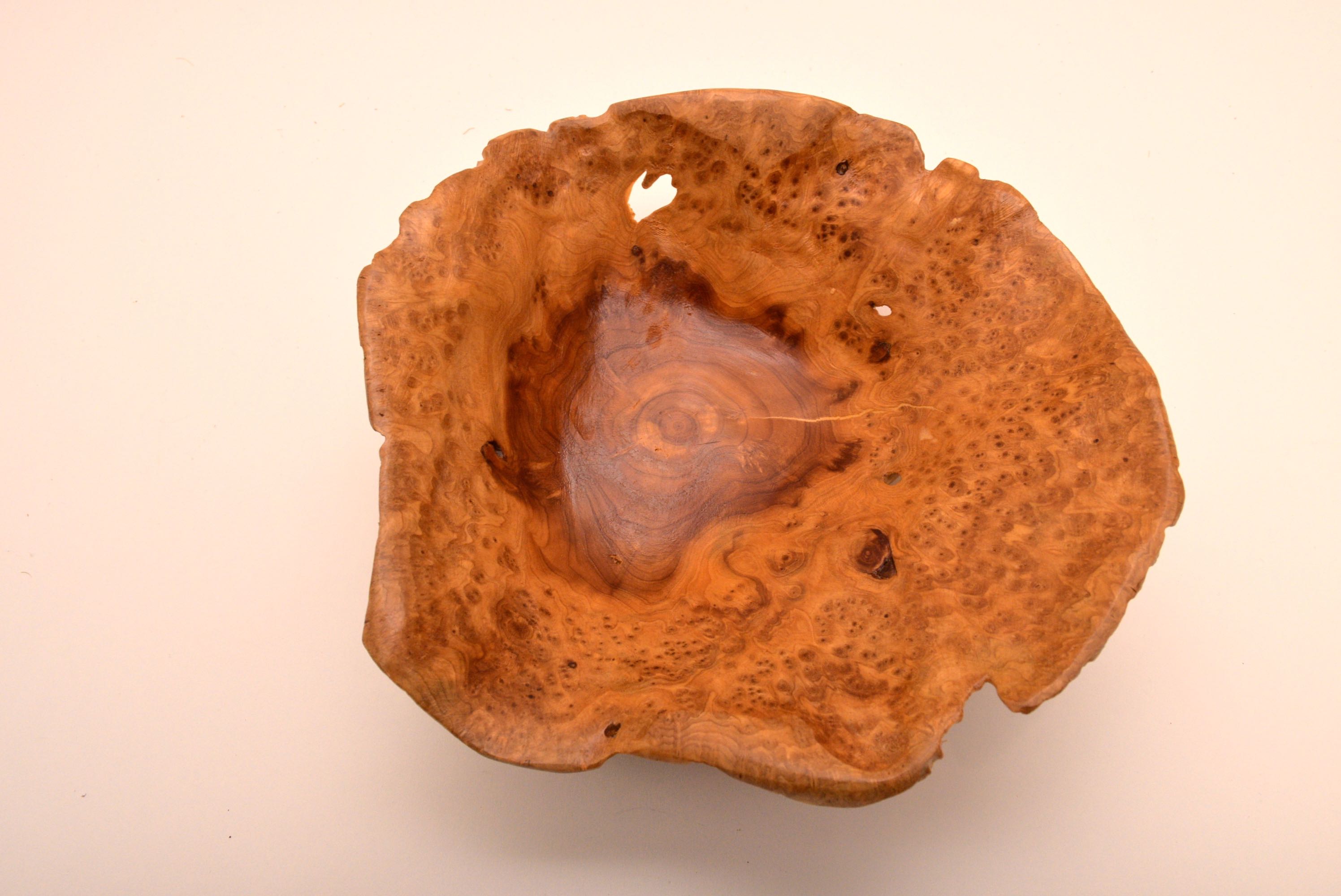 Namibian Wood Display