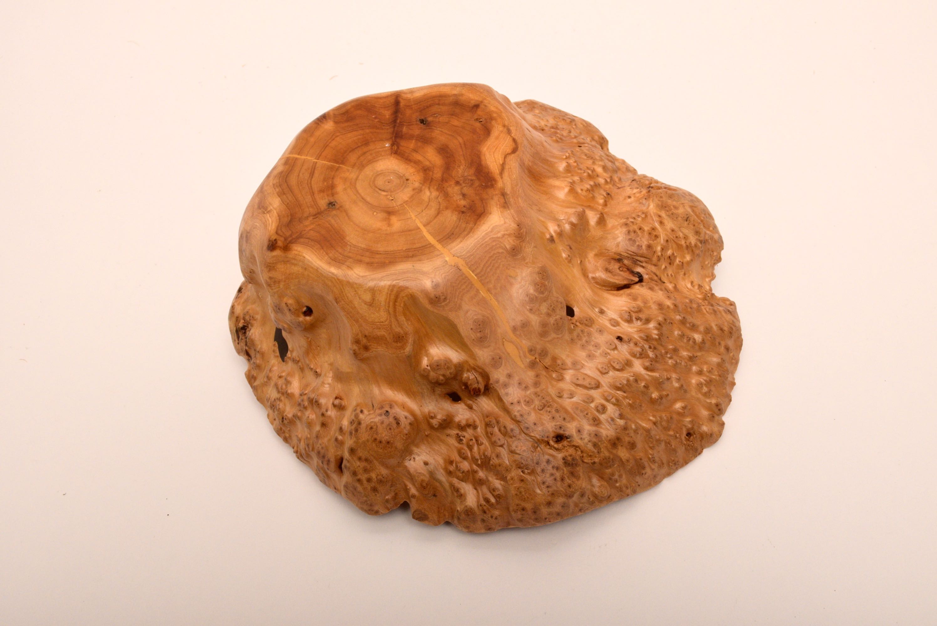 Namibian Wood Display