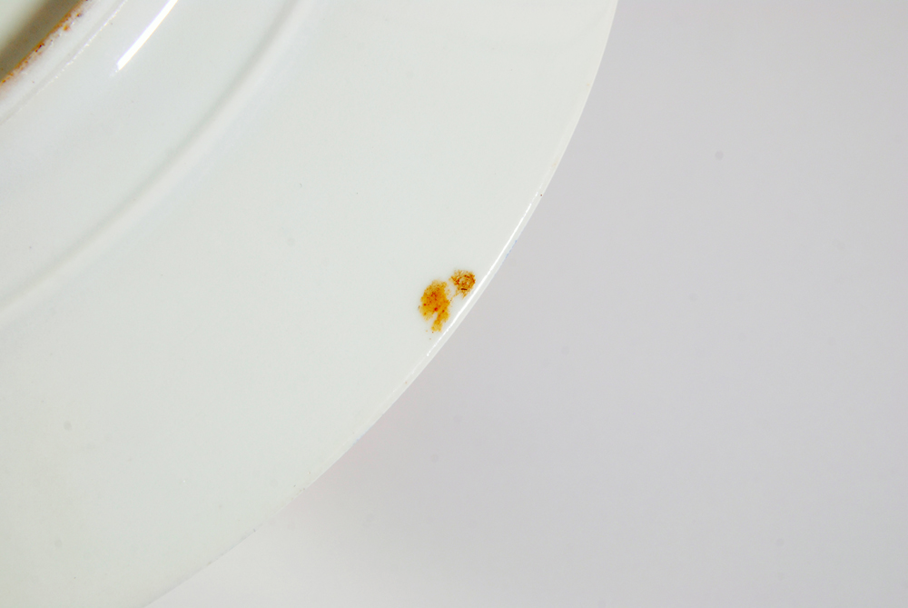 1882 Haviland Limoges Decorative Plate