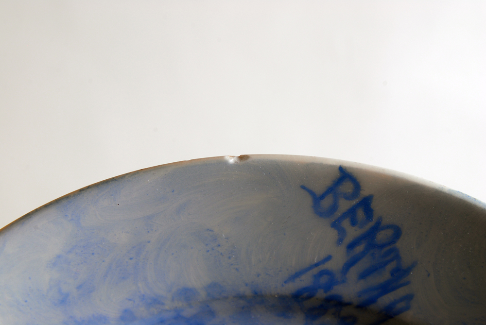 1882 Haviland Limoges Decorative Plate