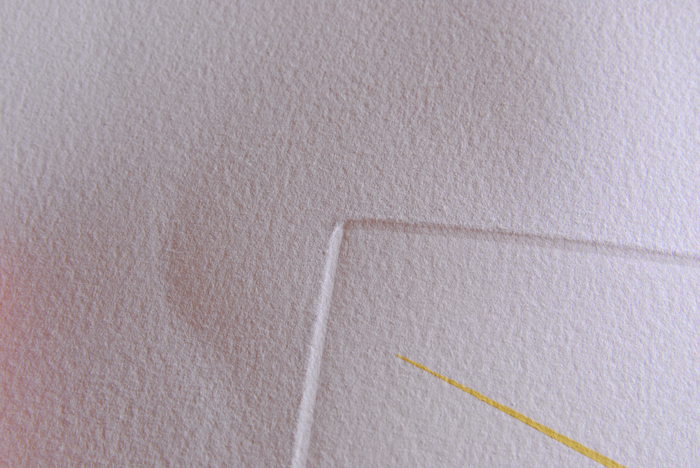 Salvador Dali "Flora Dalinae Lune" 1967