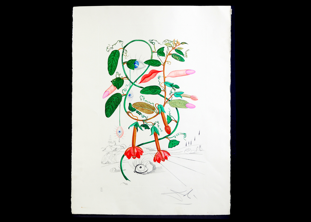 Salvador Dali "Flora Dalinae Pisum Sensuale" 1967