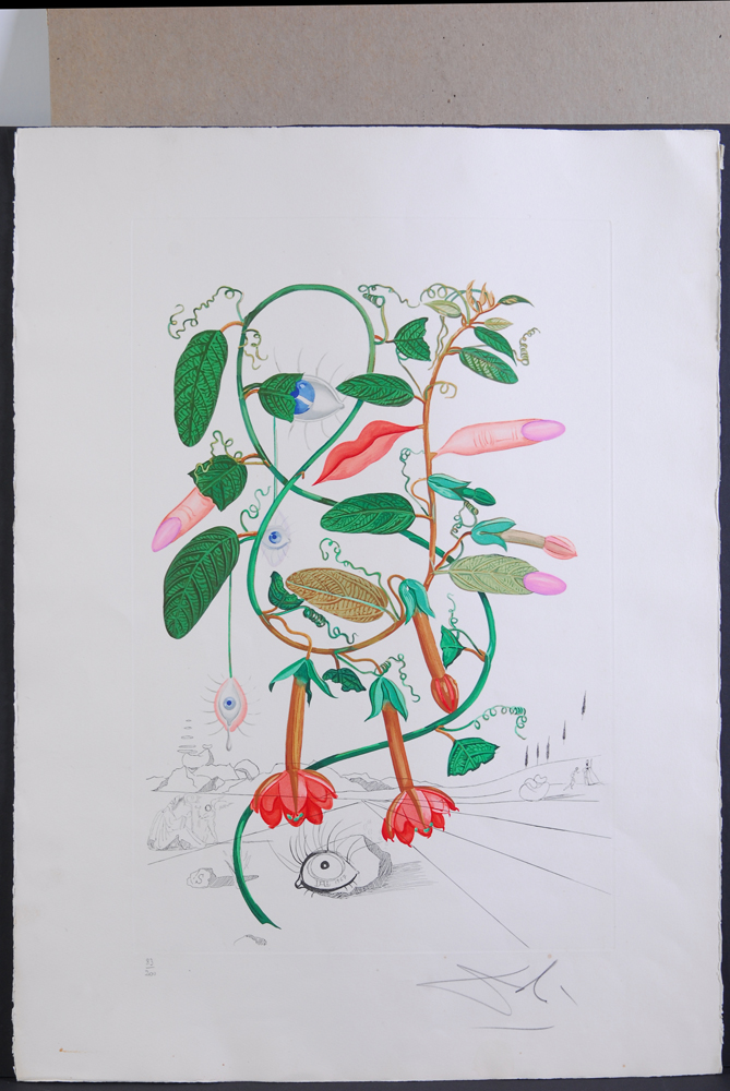 Salvador Dali "Flora Dalinae Pisum Sensuale" 1967