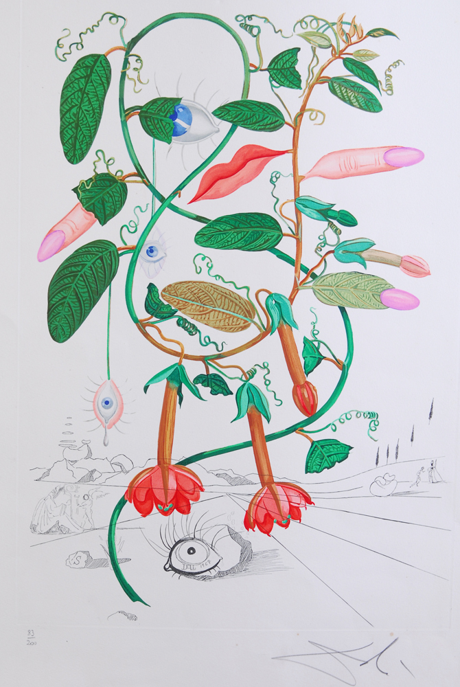 Salvador Dali "Flora Dalinae Pisum Sensuale" 1967