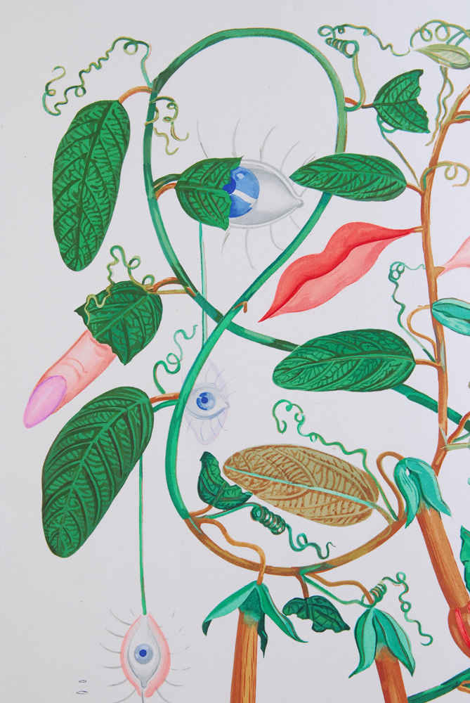 Salvador Dali "Flora Dalinae Pisum Sensuale" 1967