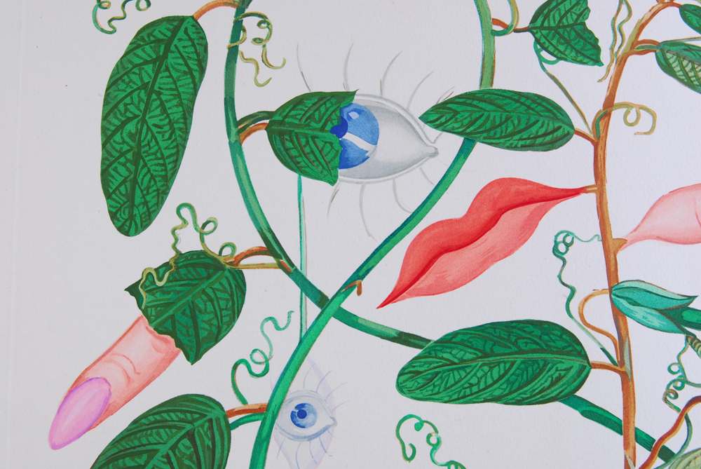 Salvador Dali "Flora Dalinae Pisum Sensuale" 1967