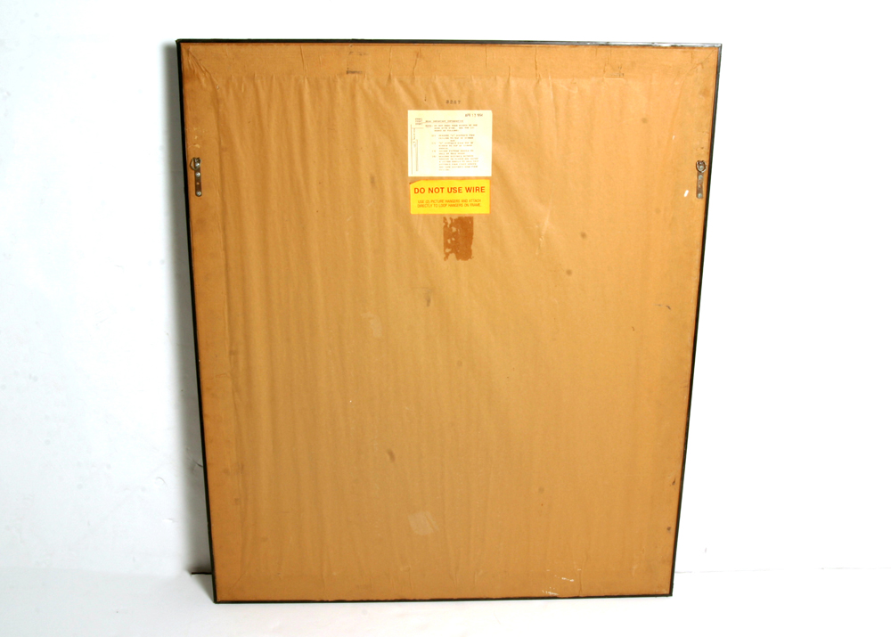 African Themed Mirrored Wall Art