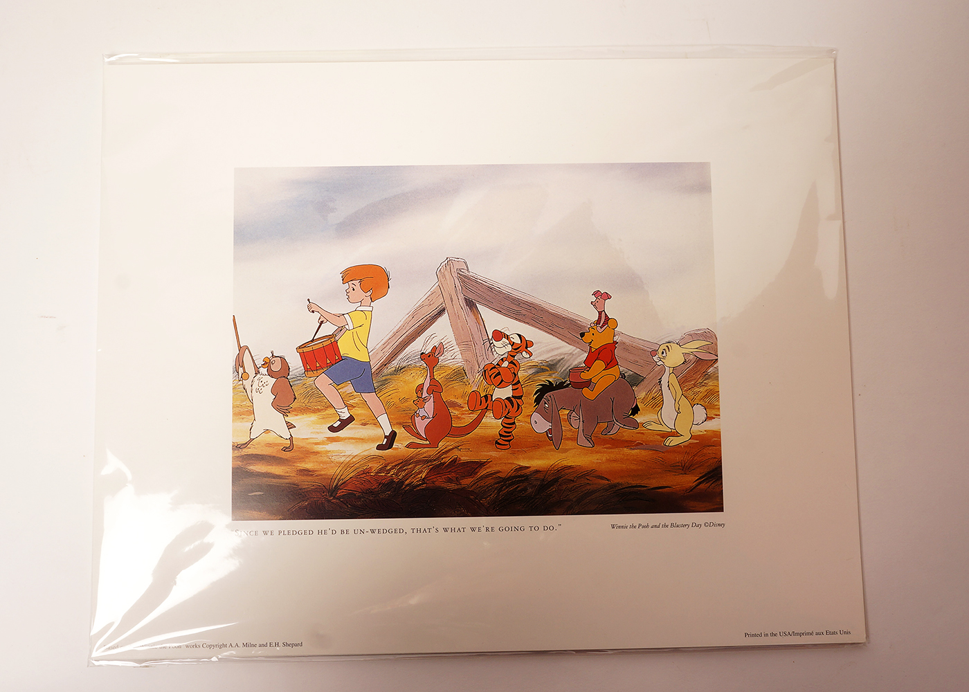 Winnie the Pooh Themed Collection