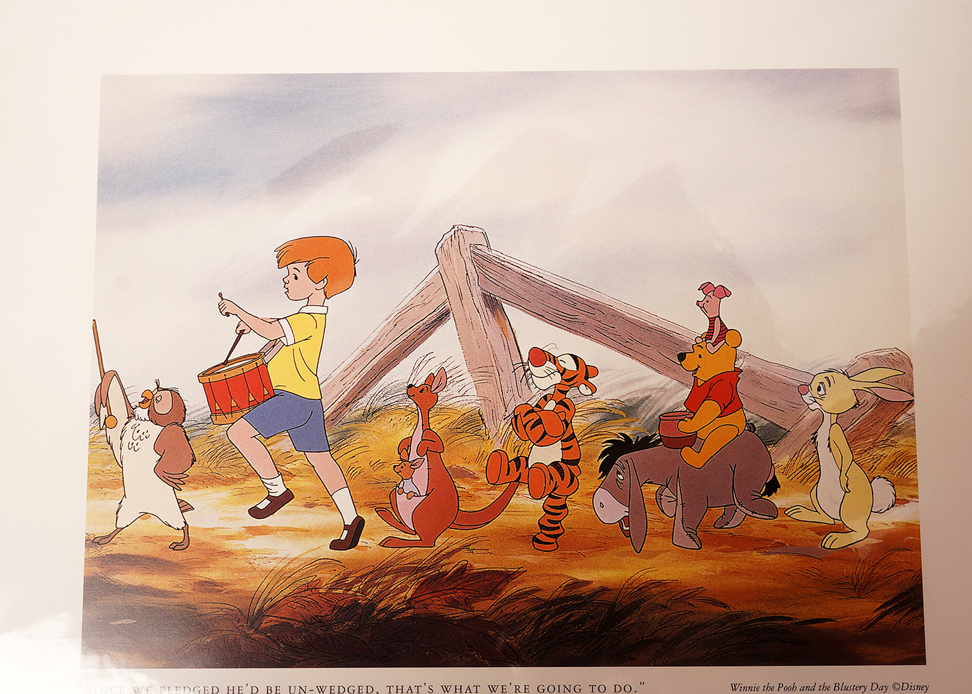 Winnie the Pooh Themed Collection