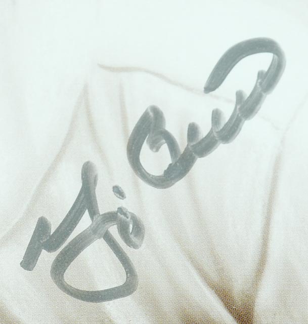 Yogi Berra Signed Toon Art Display  COA