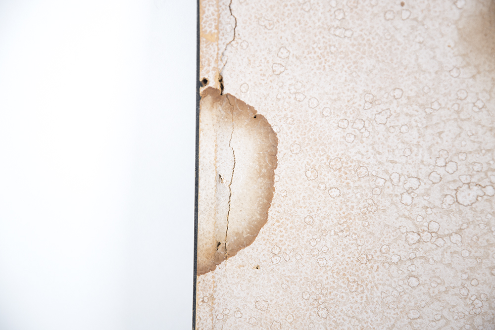 Rolling Wave Black and White Print