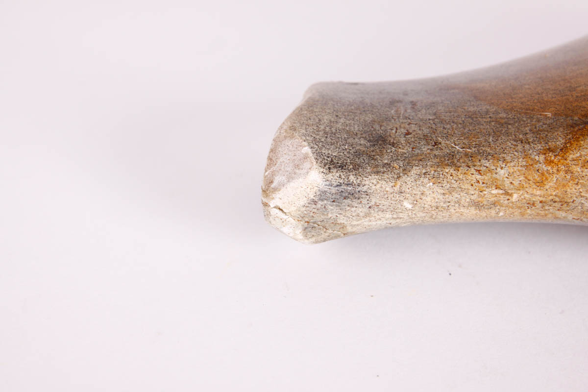 Pair of Brazilian Soapstone Fish Figures