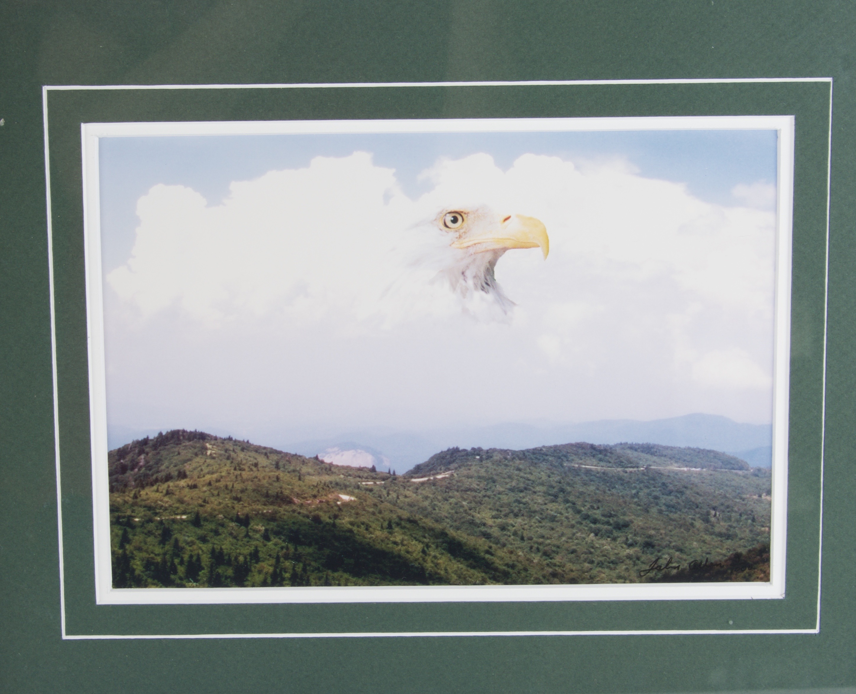Two Framed Pictures by Ted E. Graham