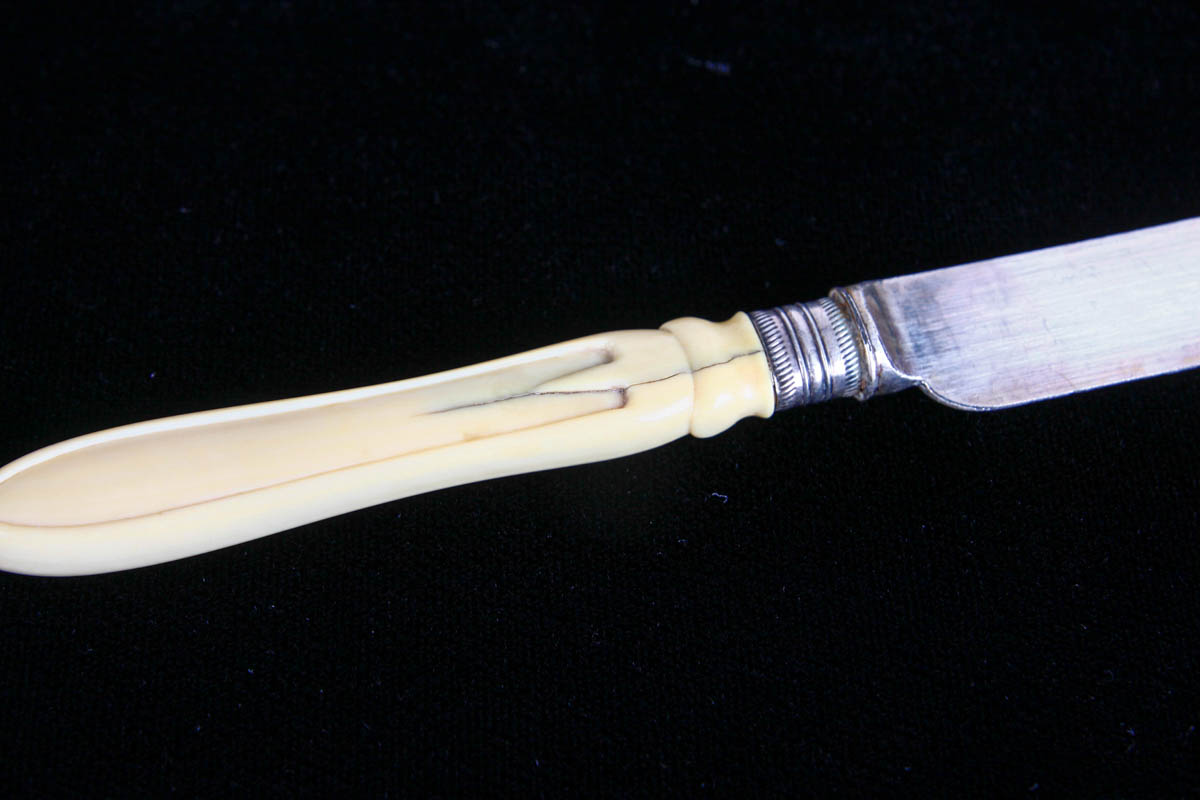 Cousins and Sons Bone Handled Fish Set and Shell Caviar Knives