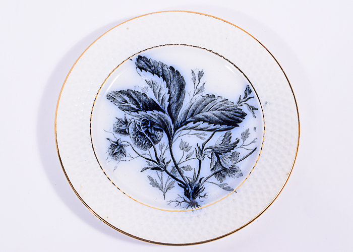 Antique Royal Sphinx P. Regout Maastright Fruit Plates