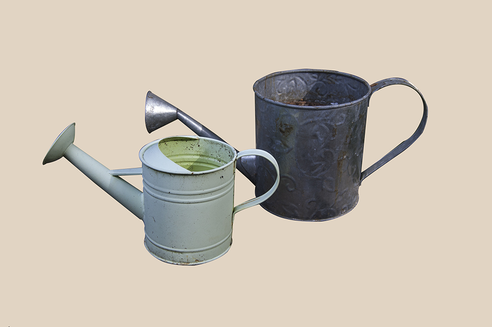 Watering Can Planters