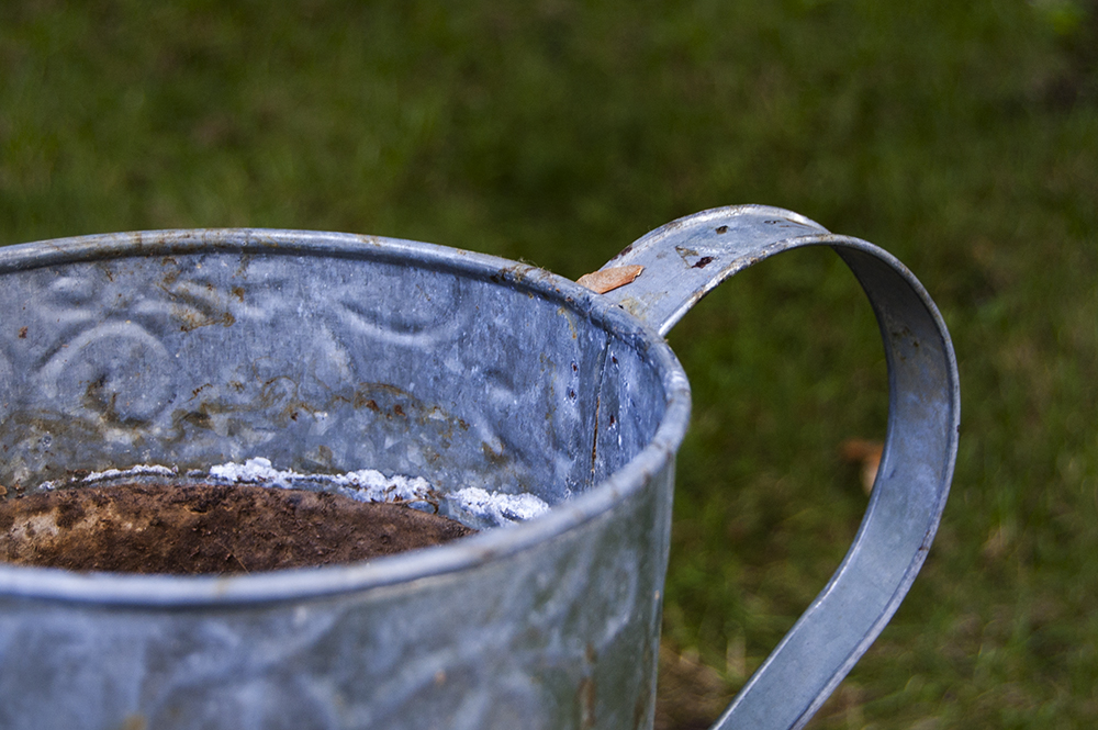 Watering Can Planters