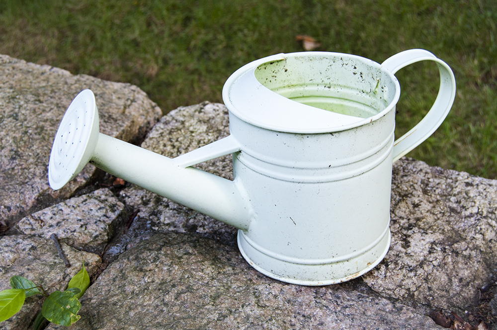 Watering Can Planters