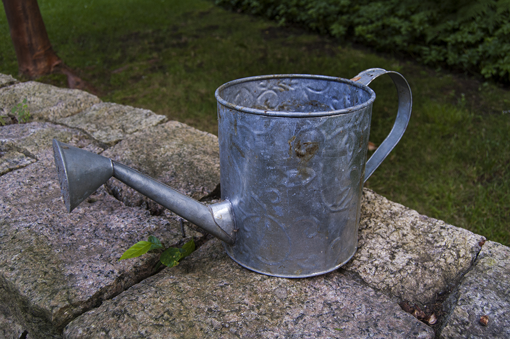 Watering Can Planters