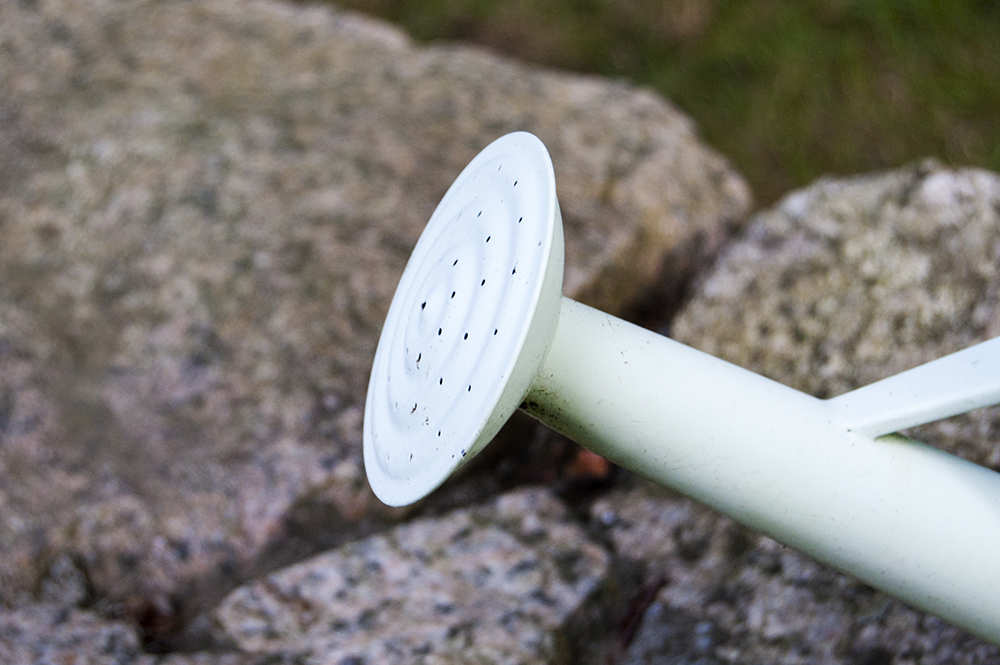 Watering Can Planters