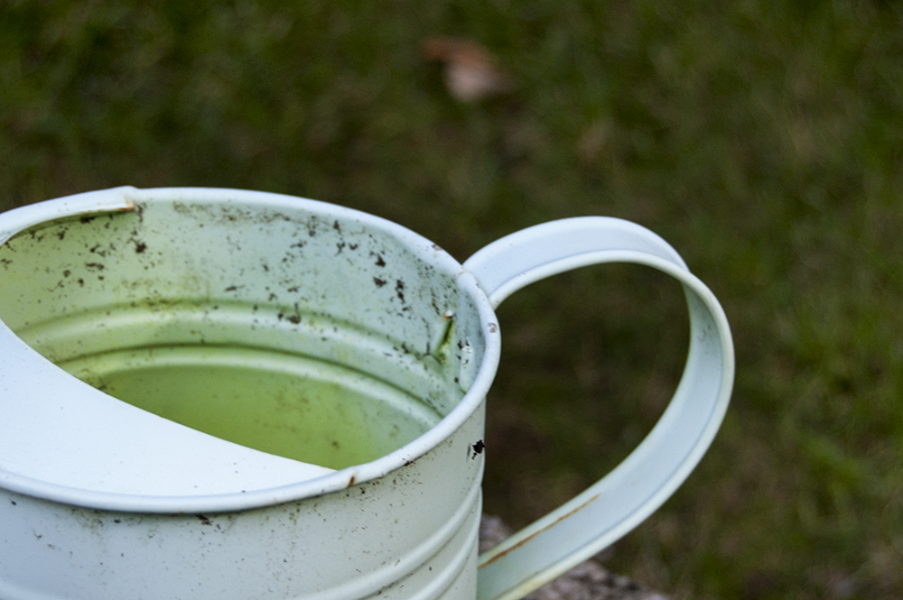 Watering Can Planters