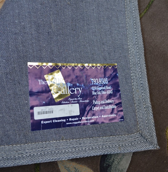 Multi-Color Botanical Tufted Wool Area Rug