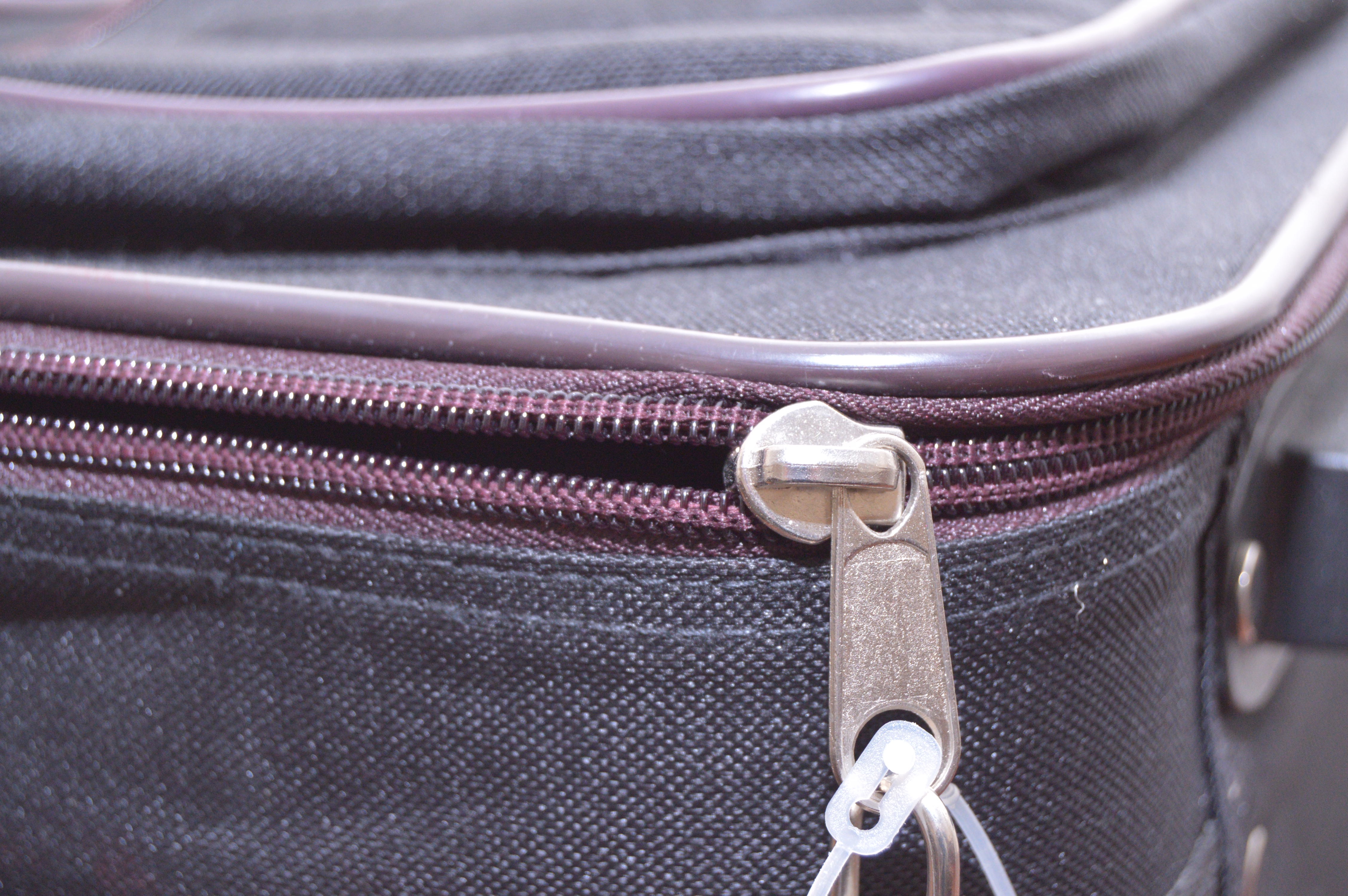 Gamma Rolling Suitcase and Solo Overnight Bag