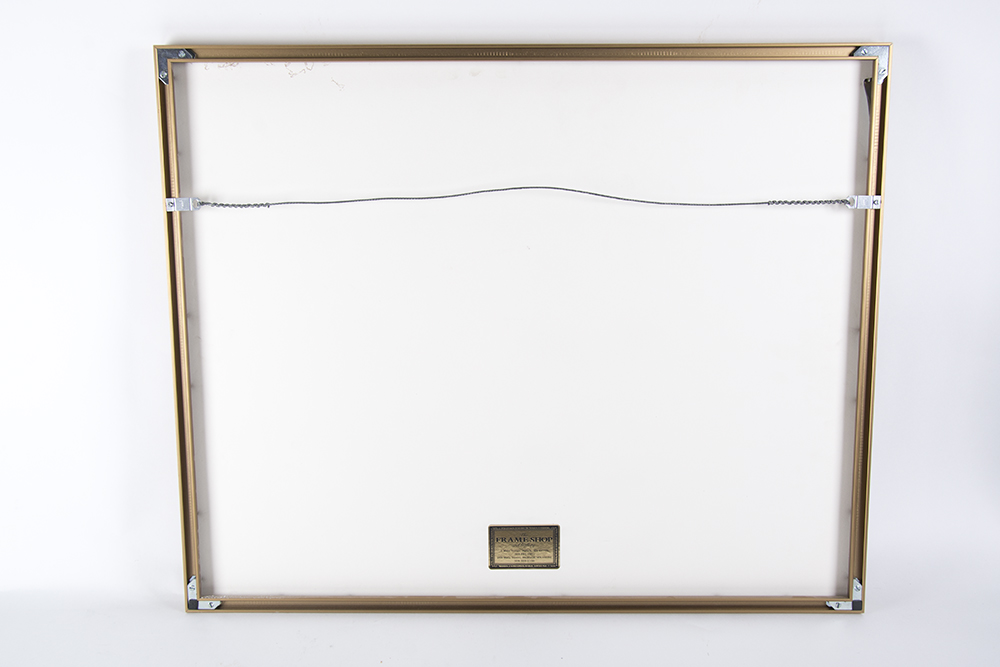 Xavier French Row Watercolor