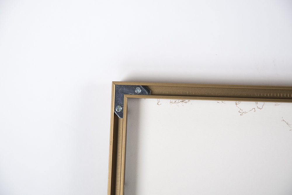 Xavier French Row Watercolor