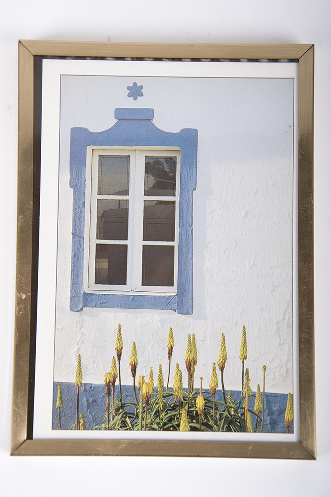 Portuguese Window Scenes