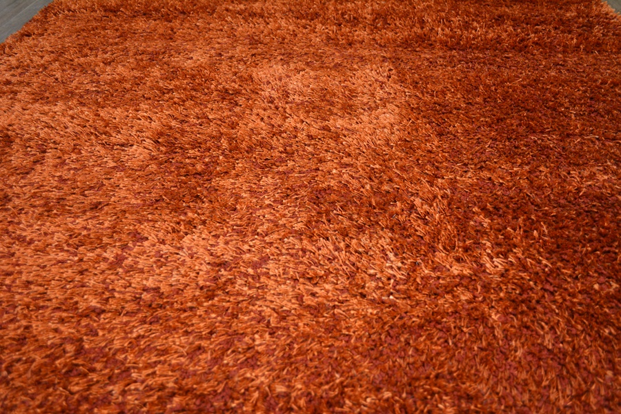 Contemporary Shag Machine Made Brick/Apricot Area Rug