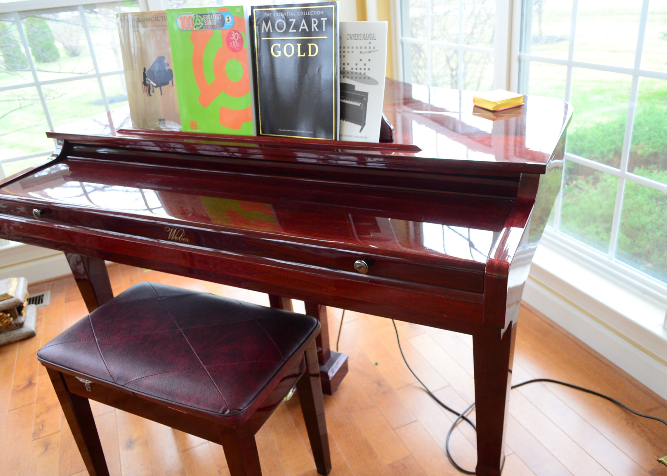 Cherry Weber Digital Baby Grand Piano