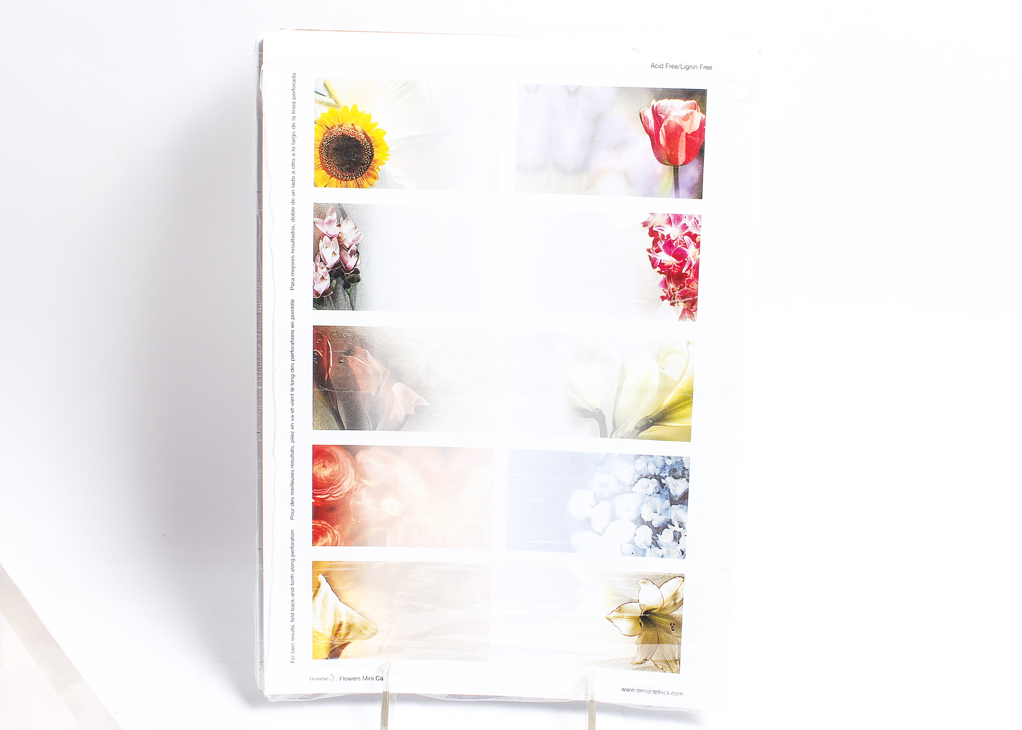 Assortment of Office Paper