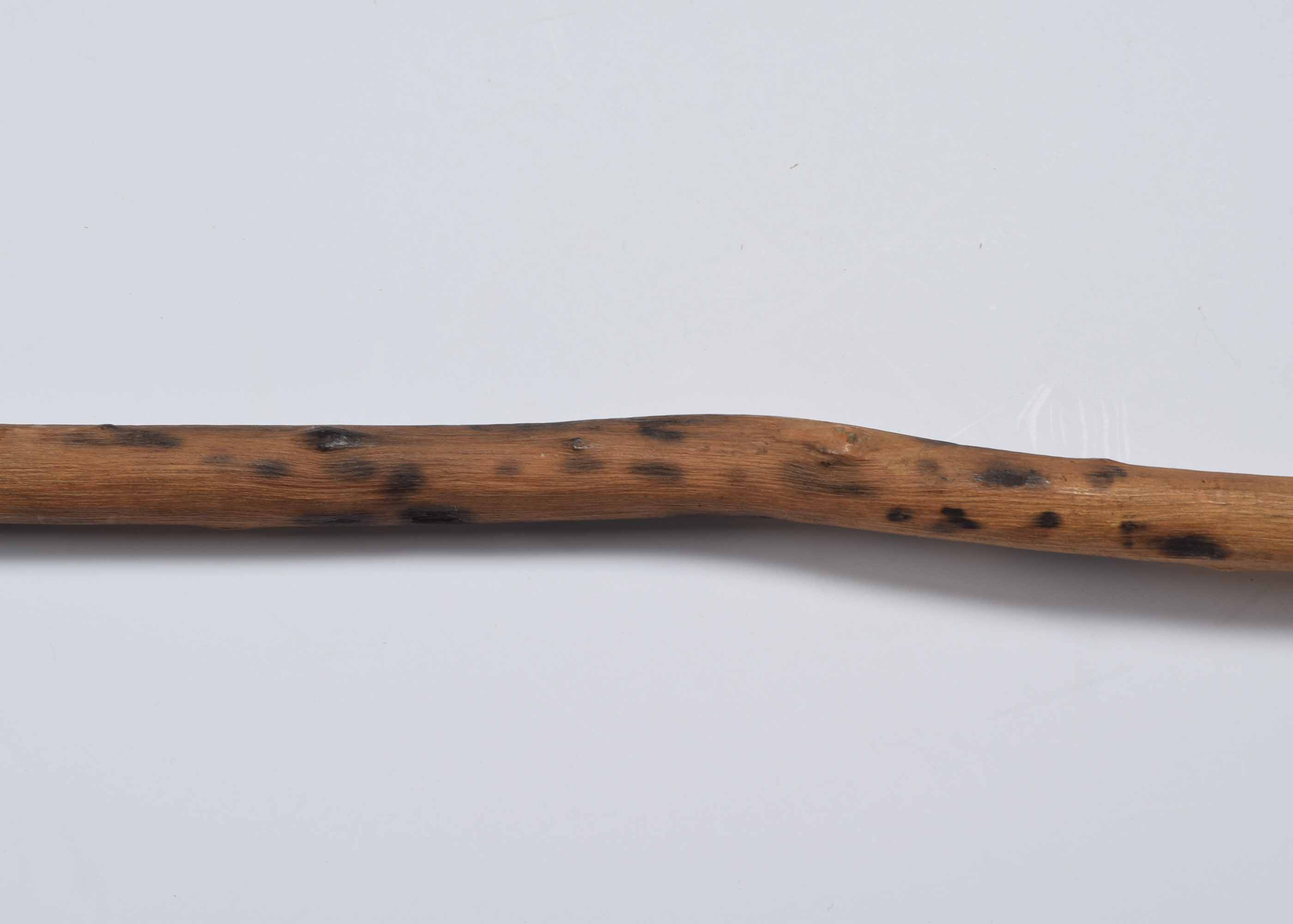 Antique African Barbed Spear