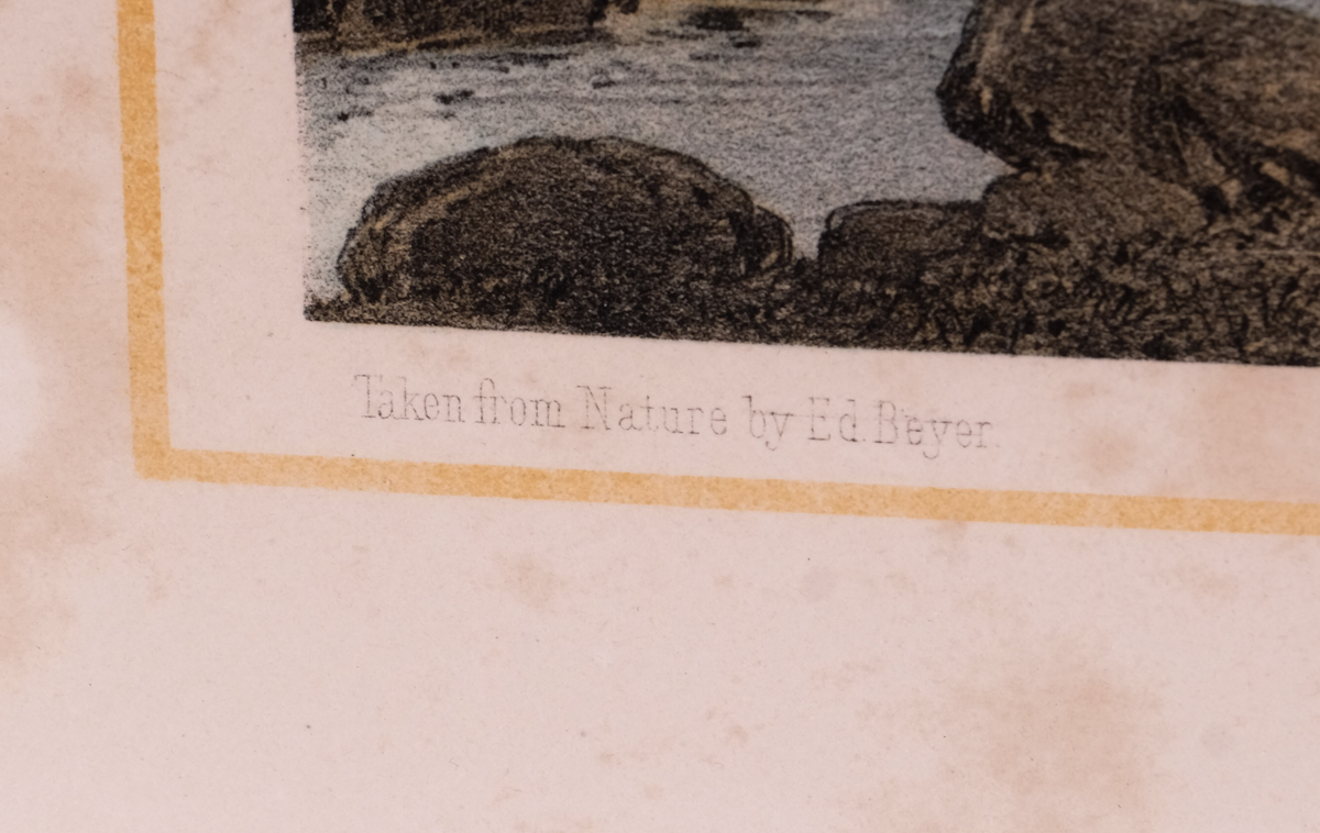 Antique Edward Beyer 3-Color Lithograph of Yellow Sulphur Springs