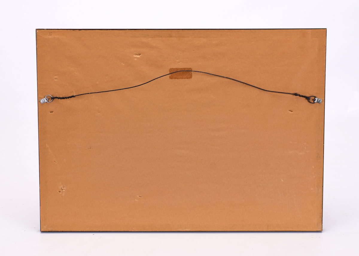 Antique Edward Beyer 3-Color Lithograph of Yellow Sulphur Springs