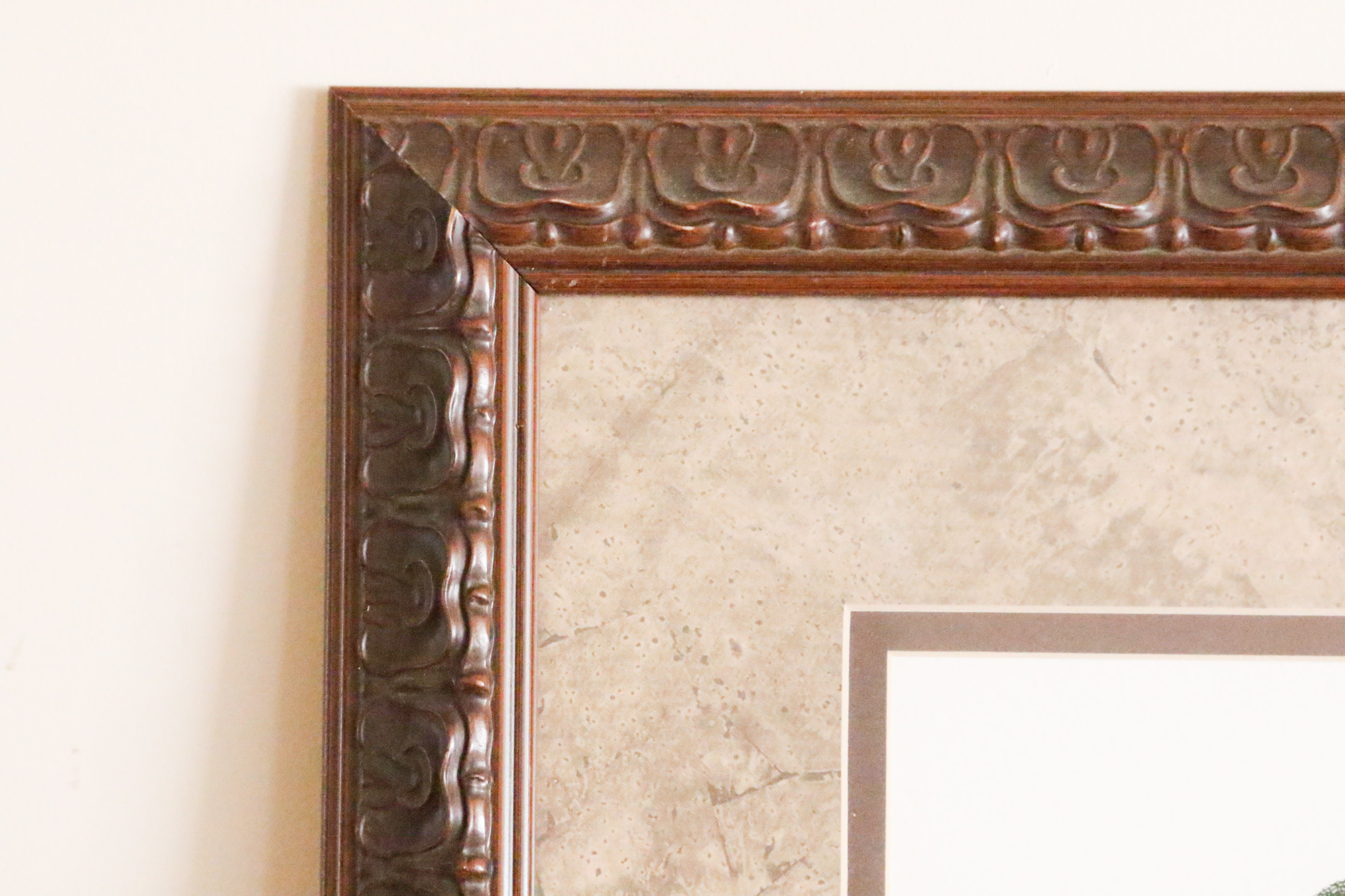 Two Framed Botanical Prints