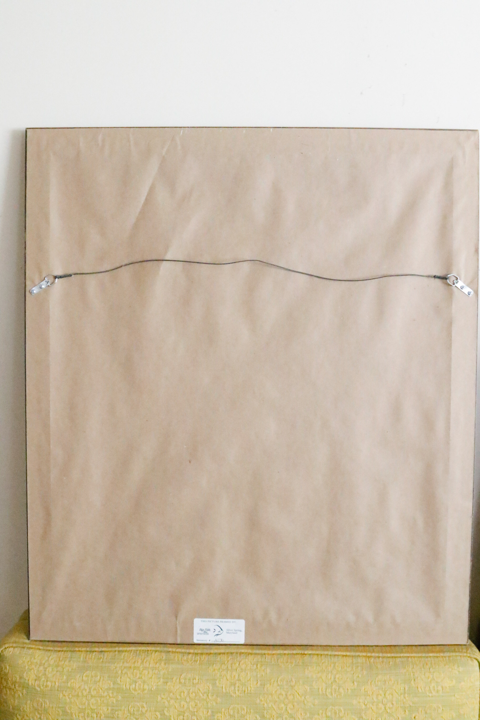 Two Framed Botanical Prints