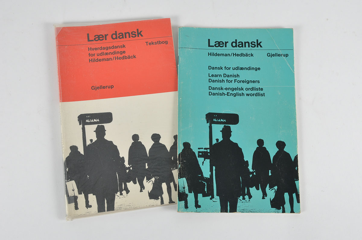 Foreign Language Dictionaries