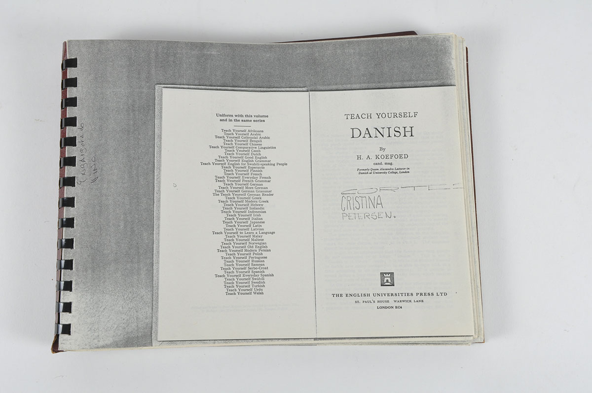 Foreign Language Dictionaries