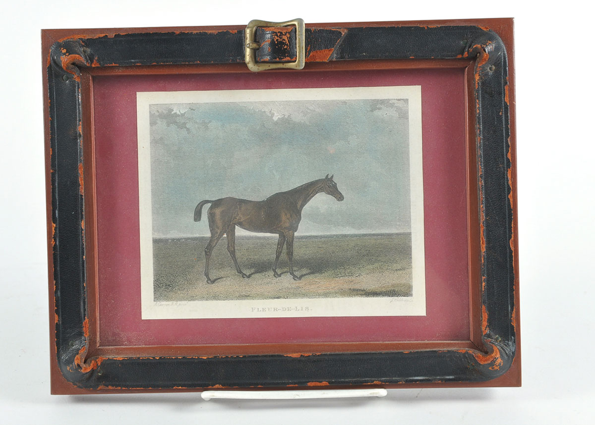 Two Custom Framed Hand Tinted Equine Lithographs
