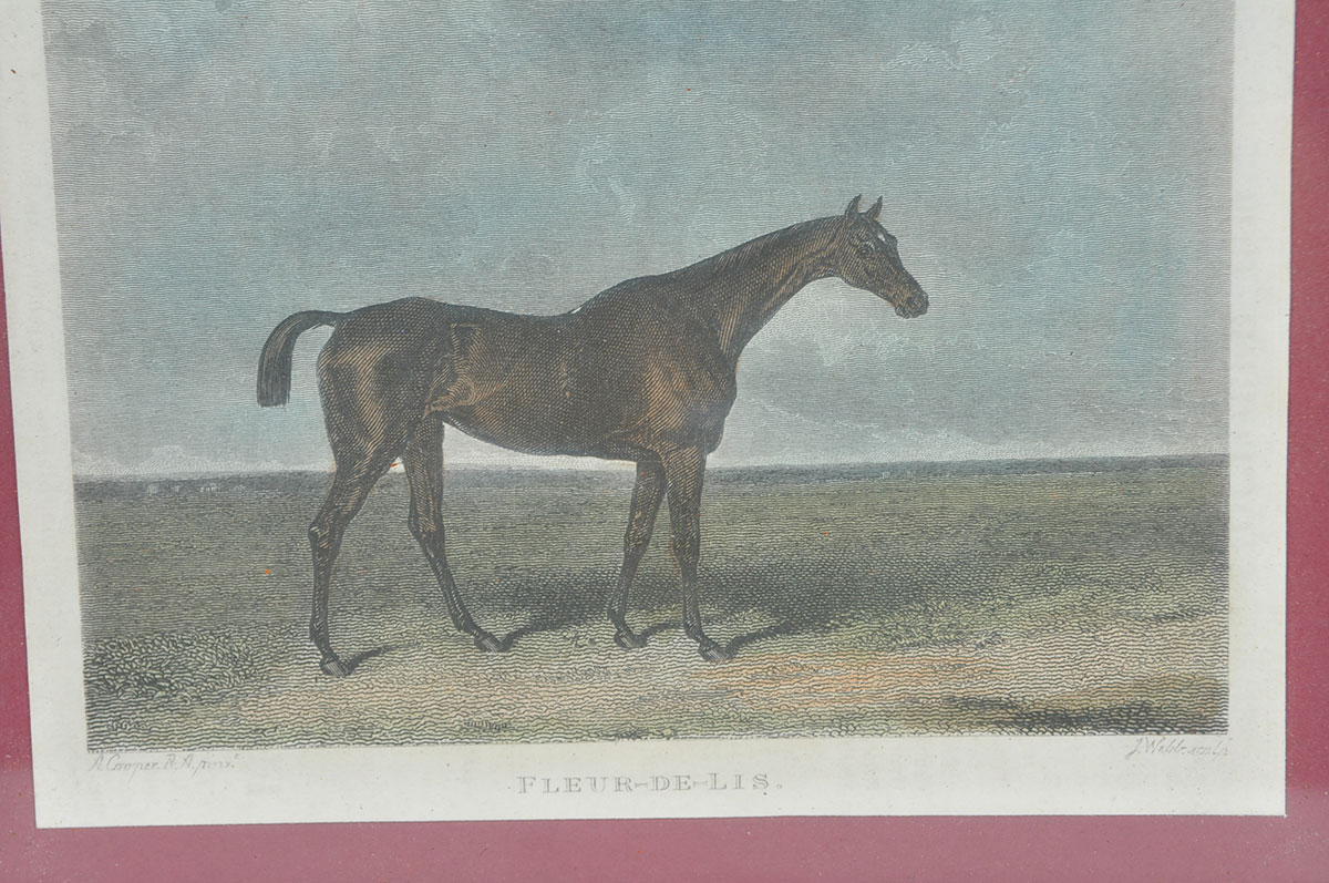 Two Custom Framed Hand Tinted Equine Lithographs