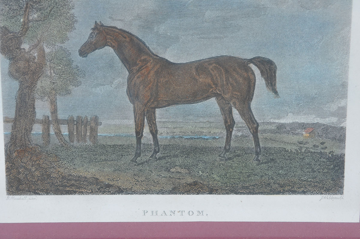 Two Custom Framed Hand Tinted Equine Lithographs