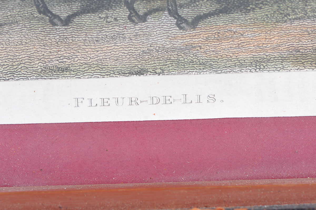 Two Custom Framed Hand Tinted Equine Lithographs